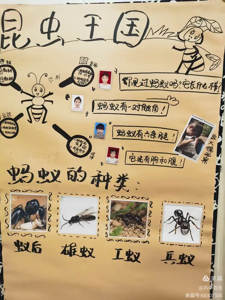 中二班主题活动《昆虫王国》